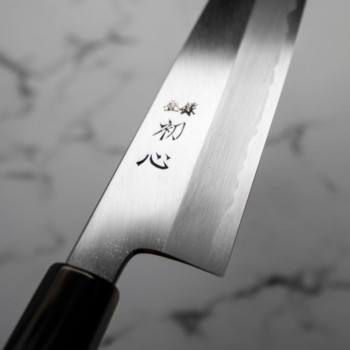 Nakagawa (Hatsukokoro) Blue 1 Migaki Gyuto 240mm - Double Blonde