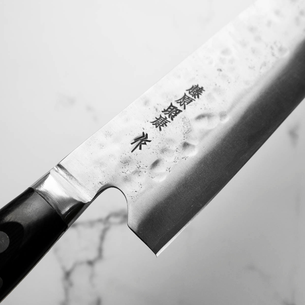 Teruyasu Fujiwara Maboroshi Gyuto 270mm