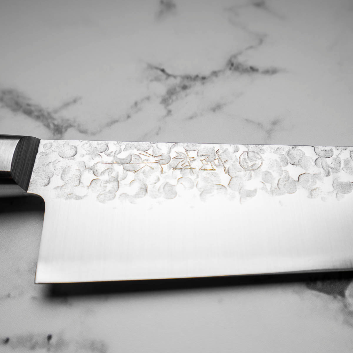 Takamura Chromax Gyuto 210mm