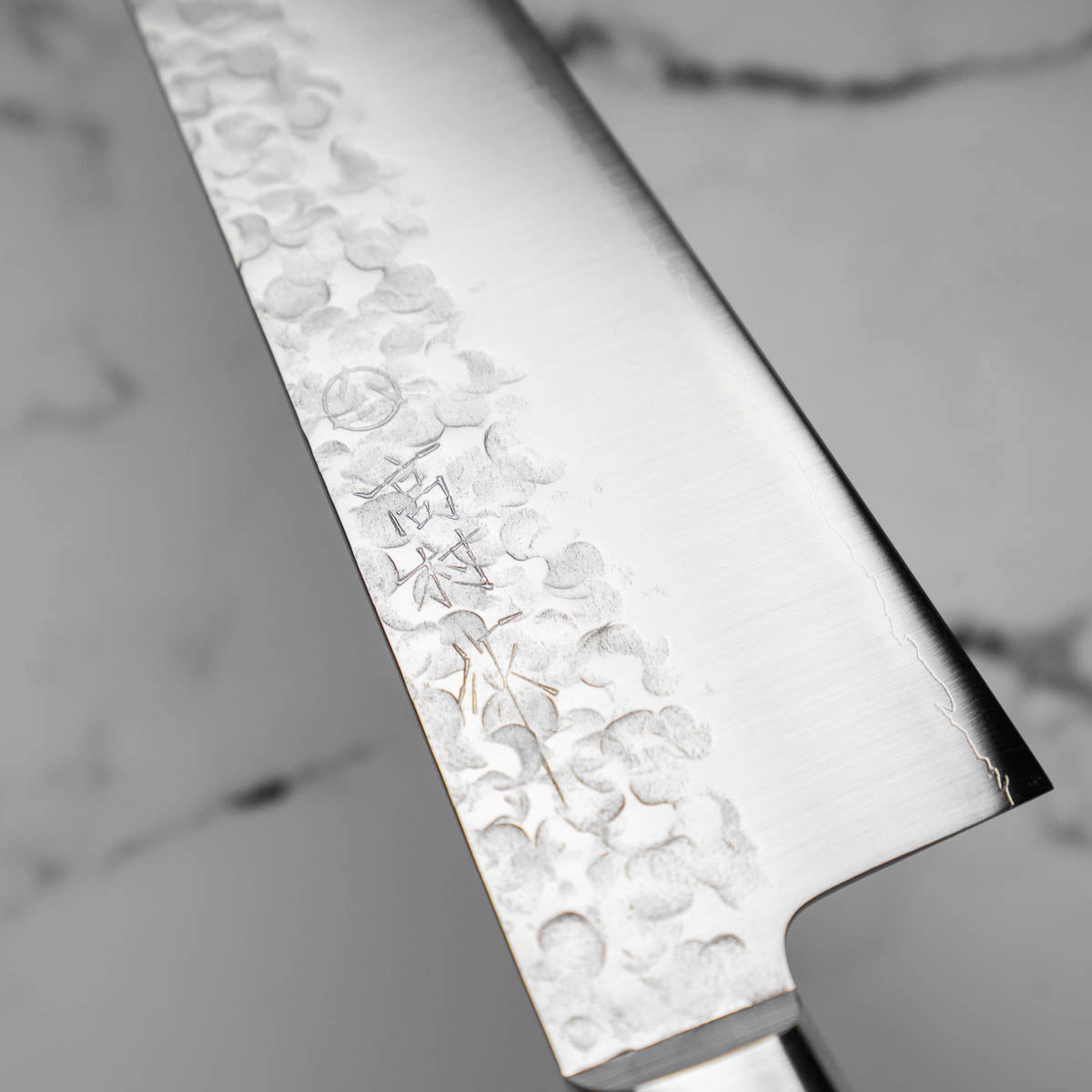 Takamura Chromax Gyuto 210mm