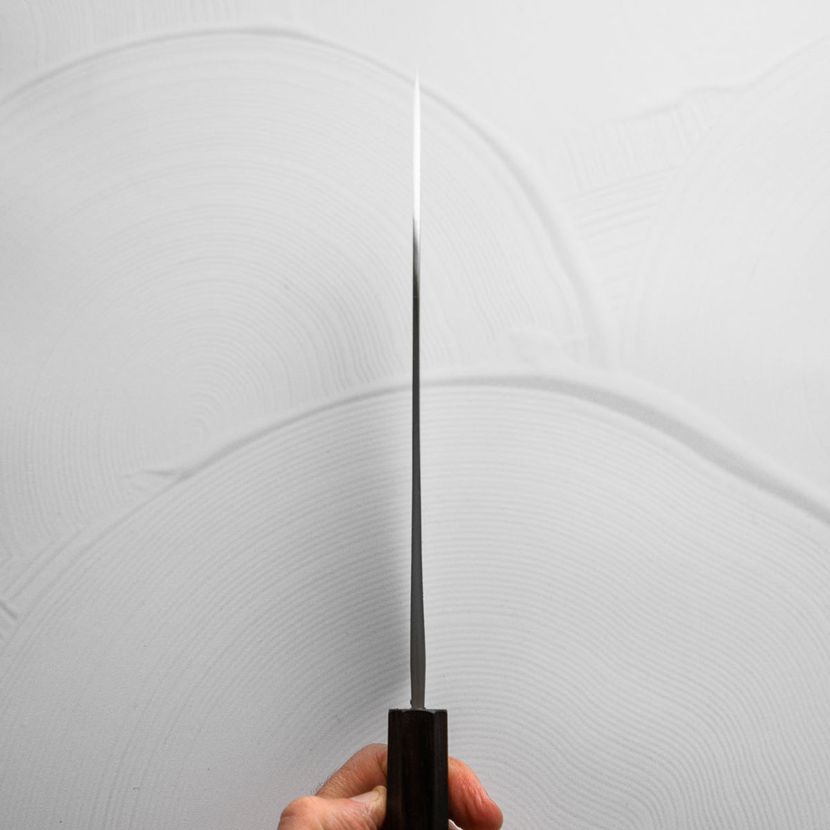 Hatsukokoro Kurokaze White 2 Stainless Clad Gyuto 210mm - Ebony
