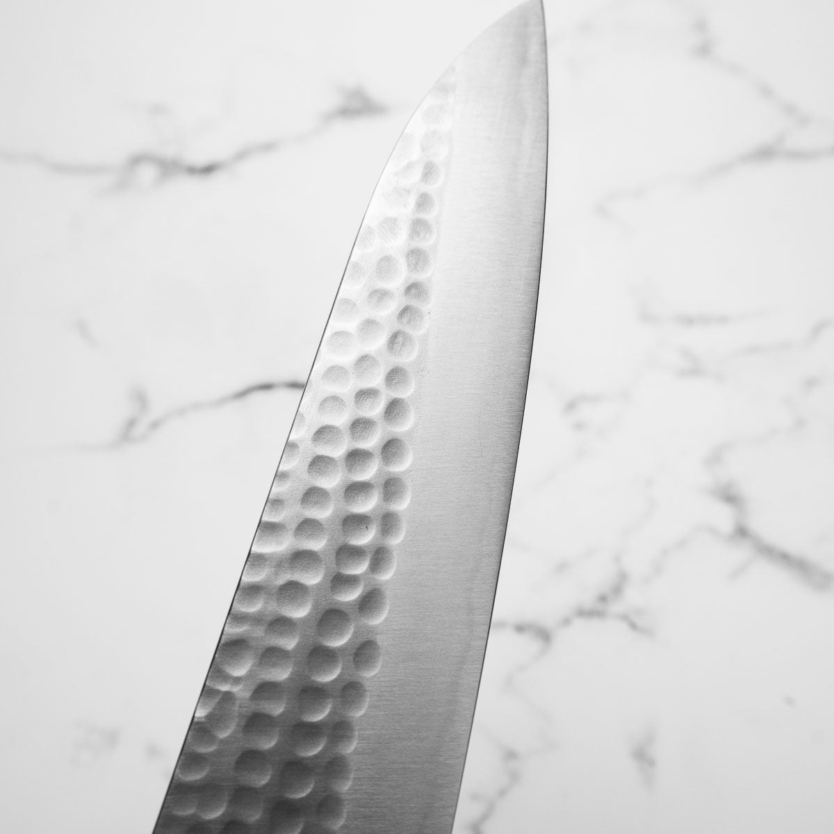 Katsushige Anryu Blue Super Gyuto 210mm