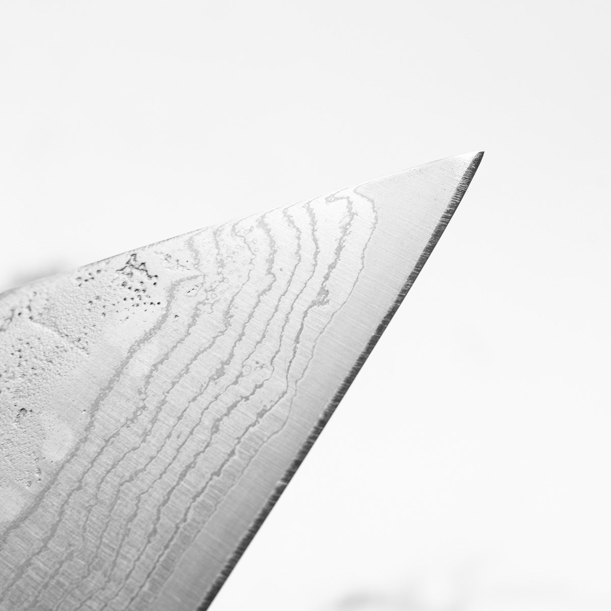 Tsunehisa Swedish Stainless Washiji Kiritsuke 210mm