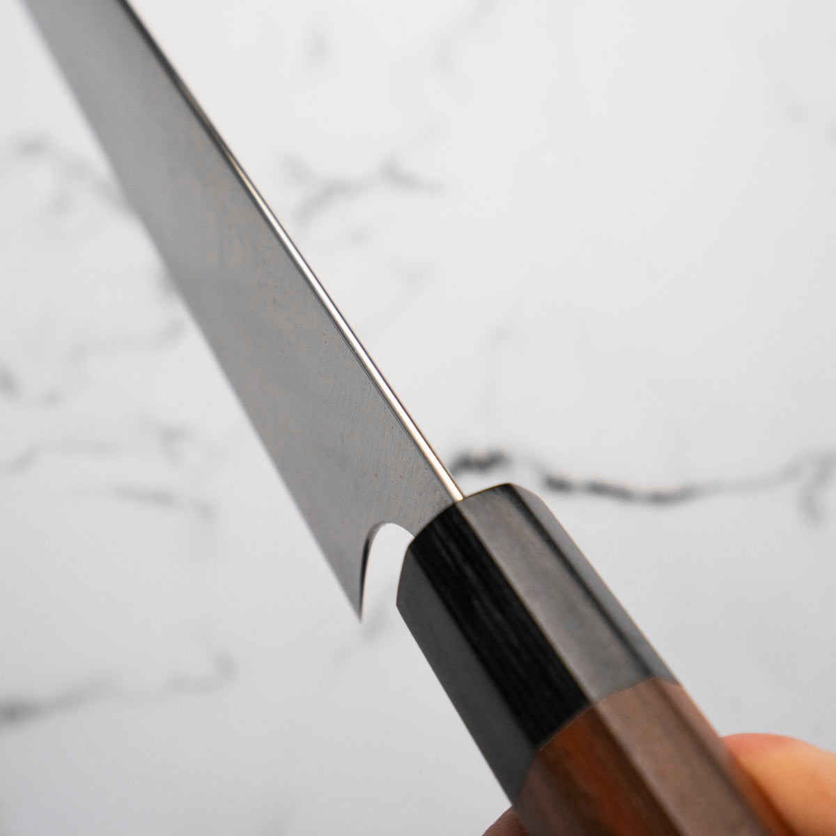 Shibata Koutetsu SG2 Gyuto (Kiritsuke) 210mm