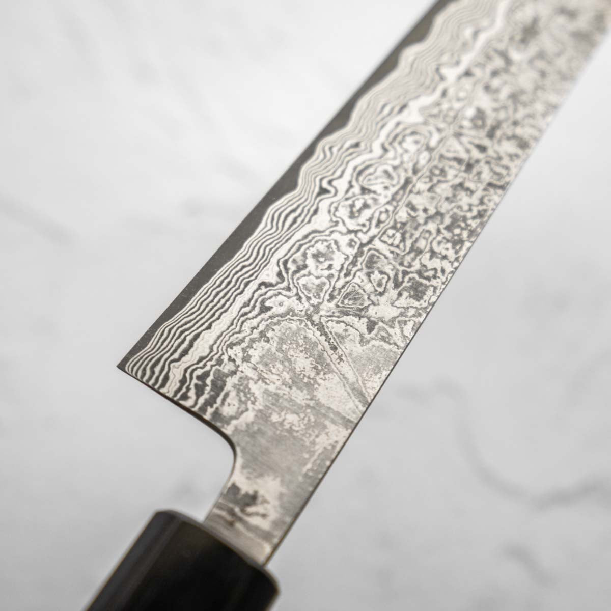 Shiro Kamo SG2 Black Damascus Sujihiki 270mm