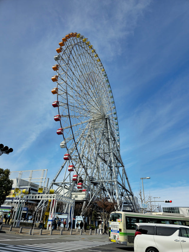Tempozan Ferris Wheel