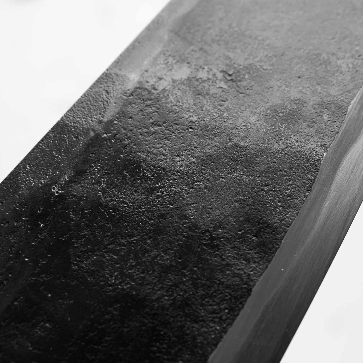 Takeda NAS Deba Large