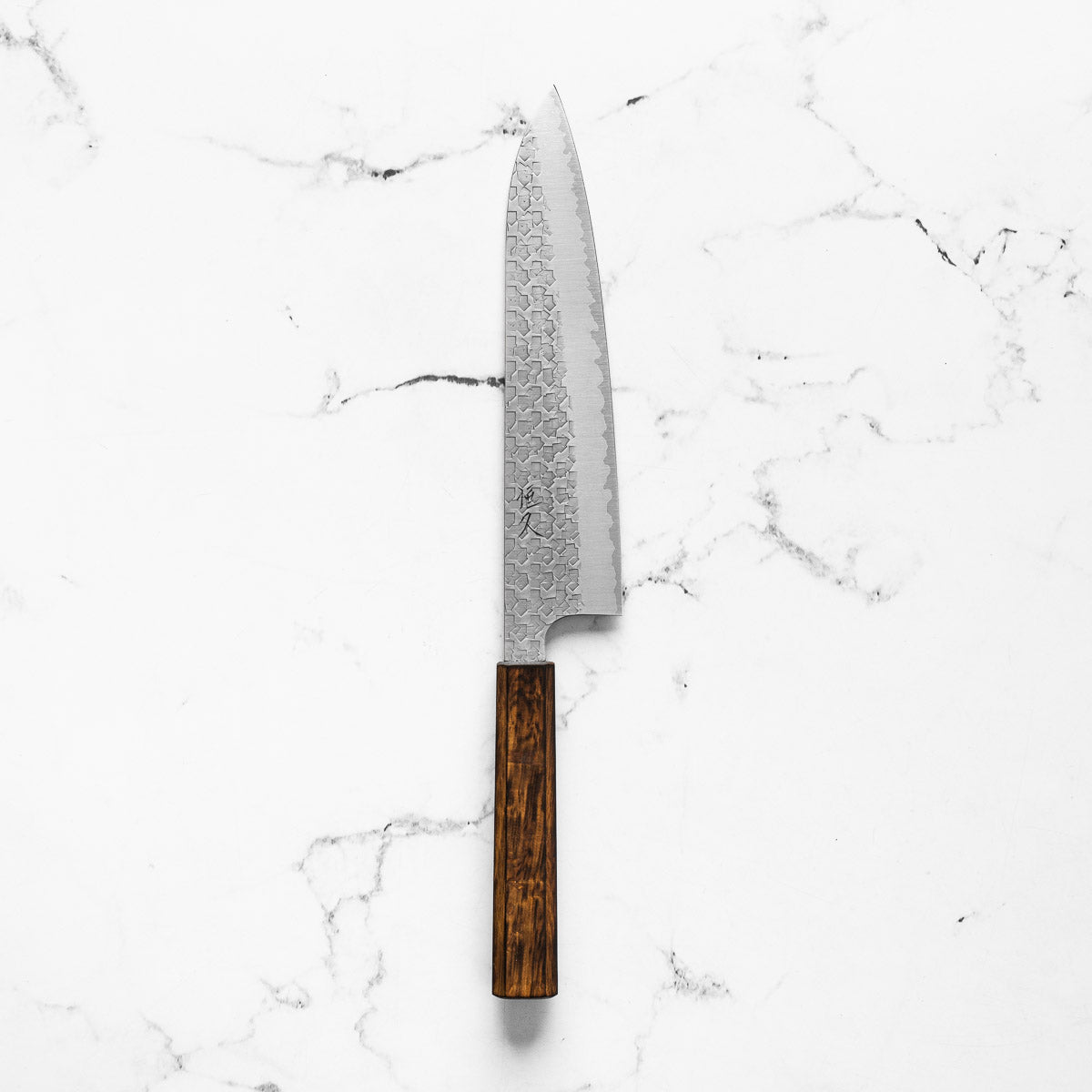 Tsunehisa Arare SG2 Gyuto 210mm
