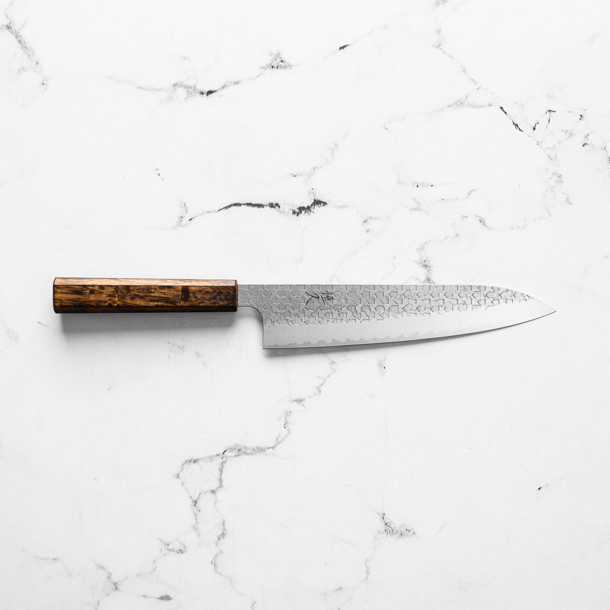 Tsunehisa Arare SG2 Gyuto 210mm