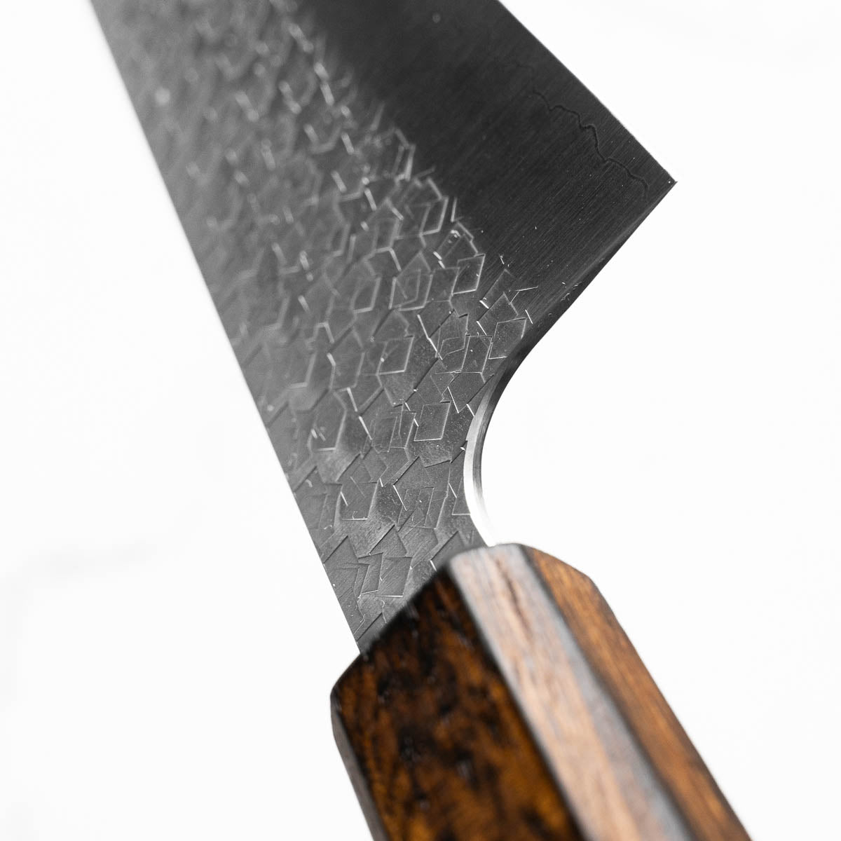 Tsunehisa Arare SG2 Gyuto 210mm