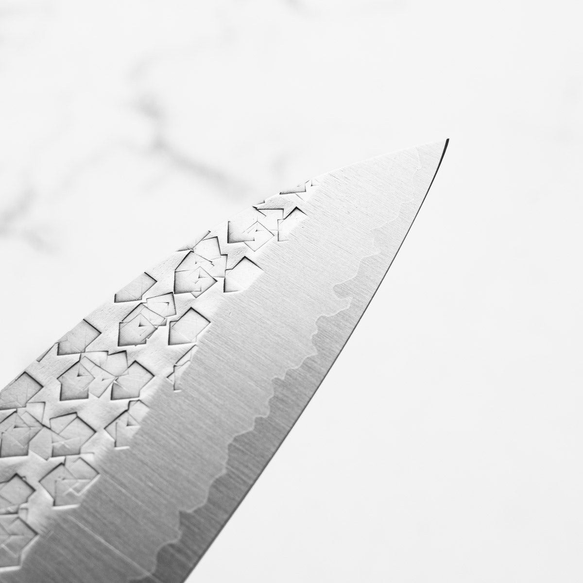 Tsunehisa Arare SG2 Gyuto 210mm