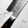 Teruyasu Fujiwara Maboroshi Gyuto 270mm