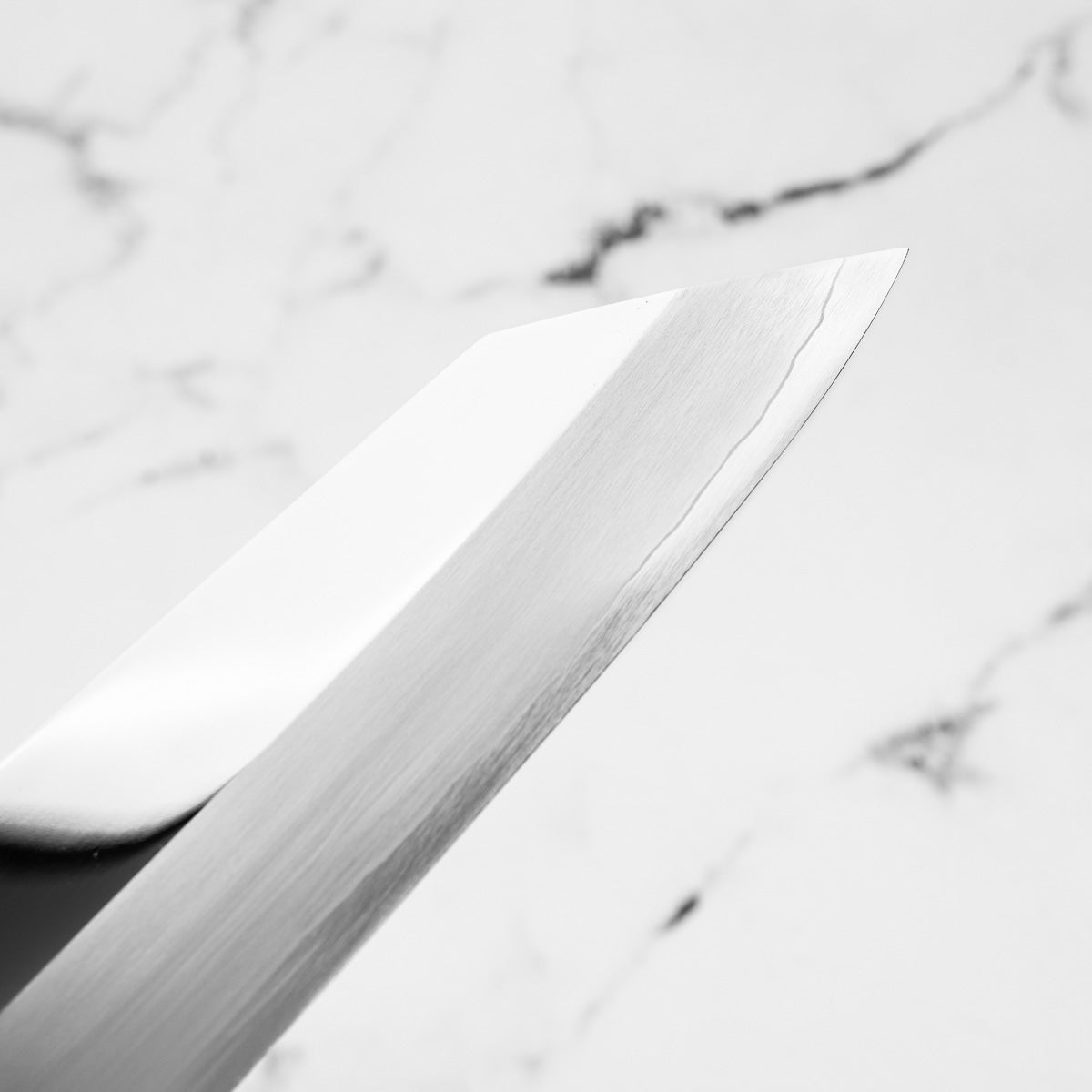 Nakagawa x Sakai Kikumori SG2 Mirror Kiritsuke Gyuto 210mm - Ebony and Blonde