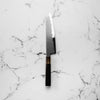 Tetsujin Hamono Blue 2 Kasumi Kiritsuke 210mm