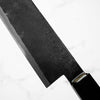 Takeda NAS Yanagiba 270mm