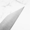 Shibata Koutetsu Chromax Gyuto 240mm