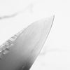 Satoshi Nakagawa Ginsan Tsuchime Gyuto 240mm - Ebony Turquoise
