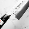 Teruyasu Fujiwara Maboroshi Gyuto 300mm