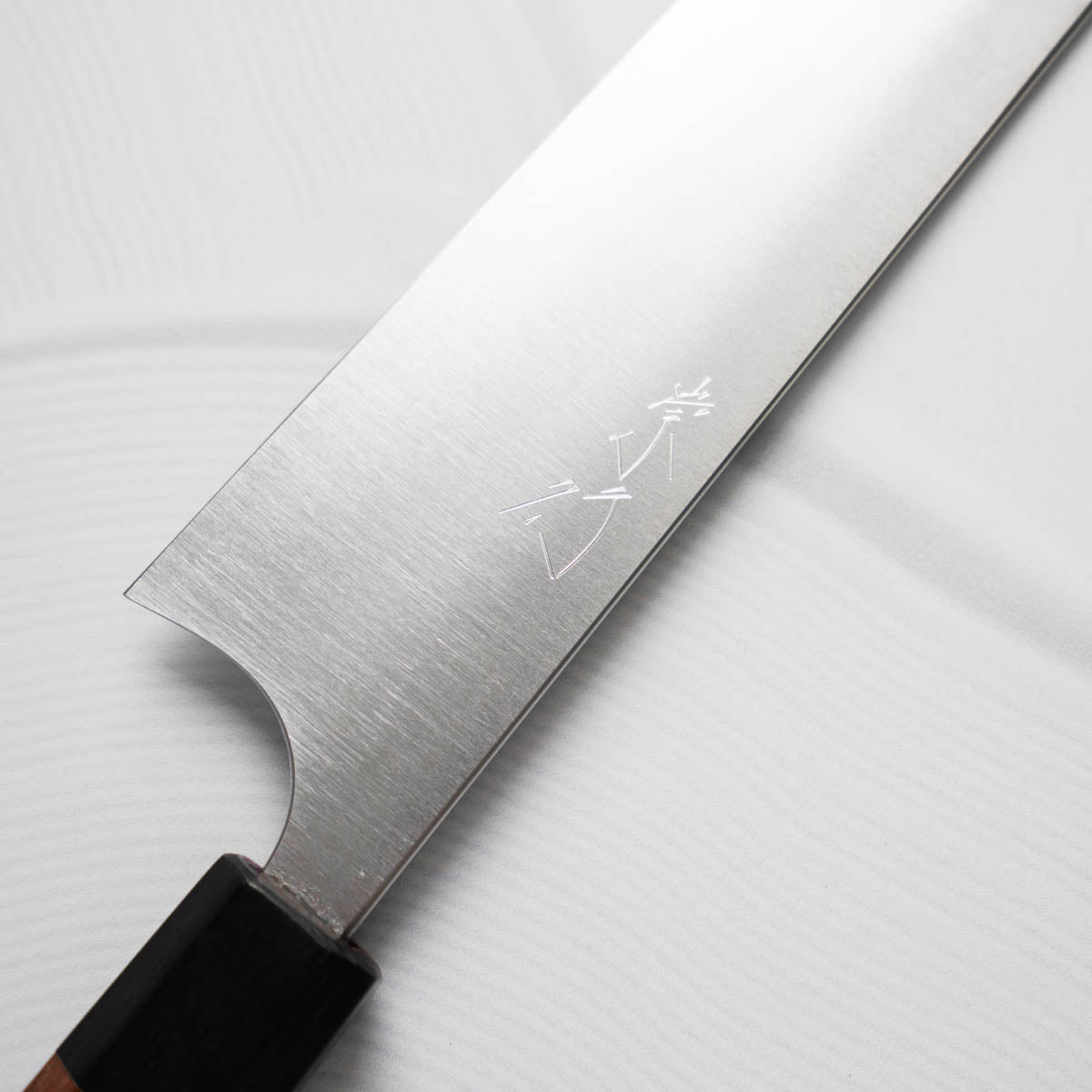Shibata Koutetsu SG2 Gyuto/Kiritsuke 210mm - Rosewood