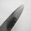 Takeshi Saji R2/SG2 Diamond Damascus Gyuto 240mm - African Blackwood