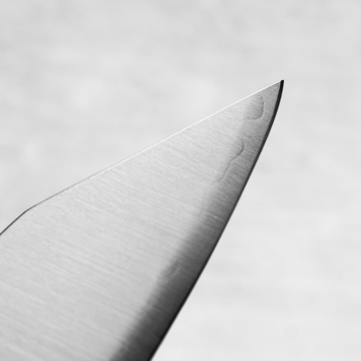 Hatsukokoro Hayabusa SG2 Kiritsuke 210mm - Mono Bubinga