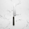 Yu Kurosaki Shizuku SG2 Gyuto 210mm - Dark Maple
