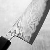 Miyazaki Kajiya Blue 2 Black Damascus Kiritsuke 210mm