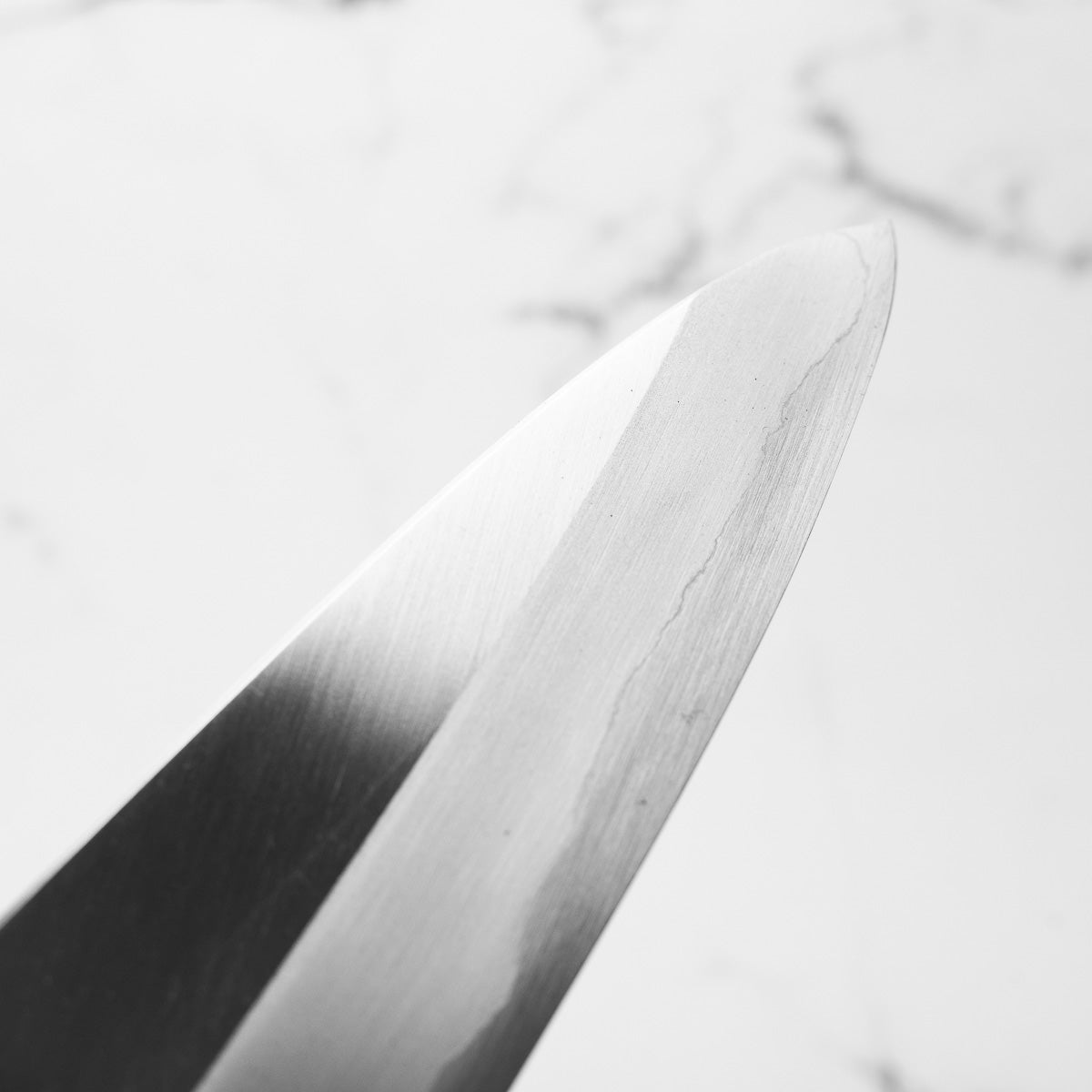 Tadokoro Hamono Ginsan Gyuto 240mm - Quince