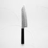 Nigara Hamono Blue Super Tsuchime Kiritsuke 210mm - Ebony