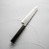 Tetsujin Hamono Blue 2 Kasumi Kiritsuke 210mm - Ebony