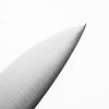 Tsunehisa Blue Super Migaki Gyuto 210mm - Ebony