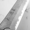 Hatsukokoro Ryusui Blue 2 Damascus Kiritsuke Gyuto 240mm - Ebony