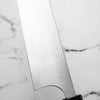 Shibata Koutetsu SG2 Gyuto (Kiritsuke) 210mm