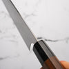 Shibata Koutetsu SG2 Gyuto (Kiritsuke) 210mm