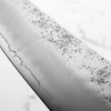 Hajimaru Ginsan Nashiji Gyuto 210mm - Mono Ebony