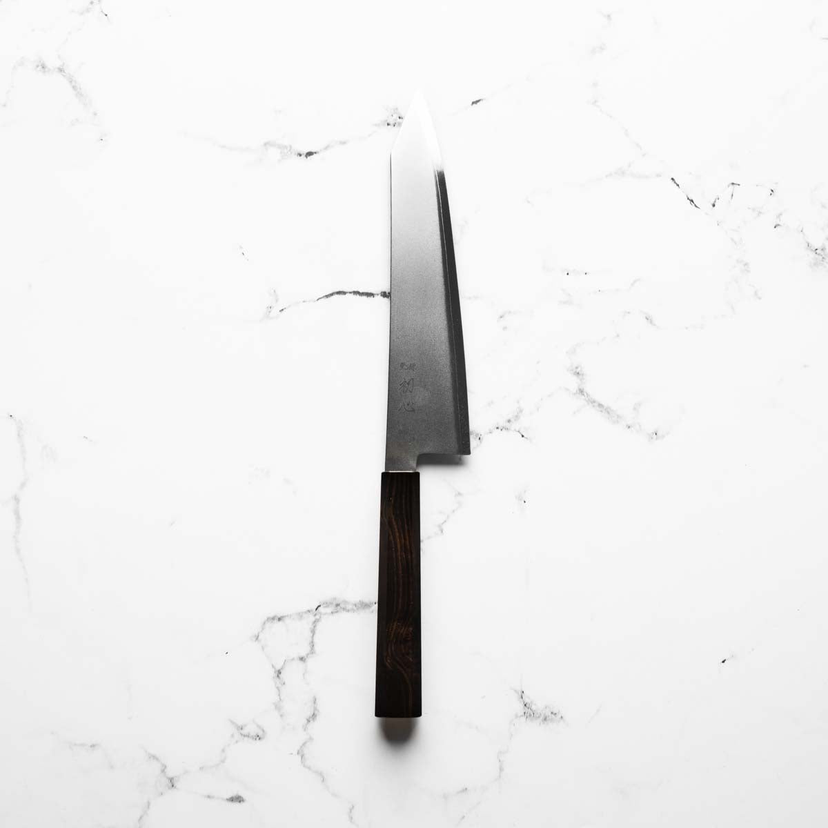 Hatsukokoro Kaijin Blue 2 Stainless Clad Kiritsuke Gyuto 240mm - Ebony