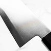 Hatsukokoro Kaijin Blue 2 Stainless Clad Kiritsuke Gyuto 210mm - Ebony