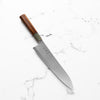 Hatsukokoro Kaijin Blue 2 Stainless Clad Gyuto 210mm (Build Your Own)