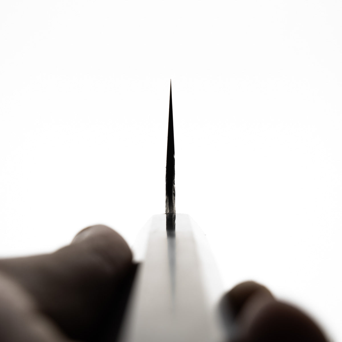 Kisuke "The Beast" ZDP‐189 Gyuto 240mm