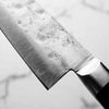 Teruyasu Fujiwara Maboroshi Petty 130mm