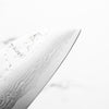 Tsunehisa Swedish Stainless Washiji Santoku 165mm - Carbon Fibre