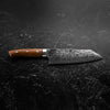 Takeshi Saji R2/SG2 Diamond Damascus Bunka 175mm