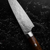 Takeshi Saji R2/SG2 Diamond Damascus Petty 135mm