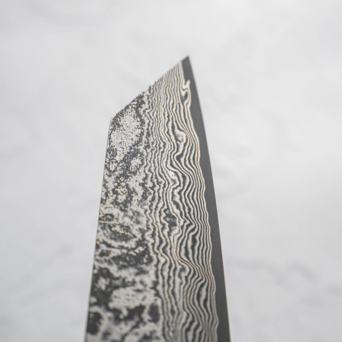 Shiro Kamo SG2 Black Damascus Bunka 165mm
