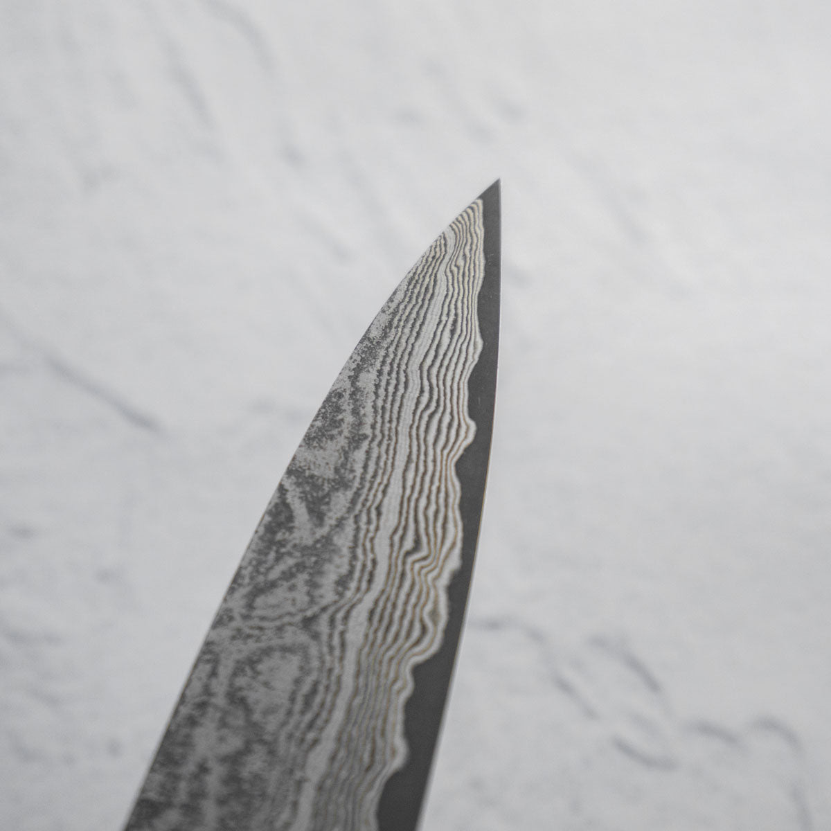 Shiro Kamo SG2 Black Damascus Sujihiki 270mm