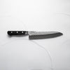 Tsunehisa Blue 2 - Western Handle Gyuto 200mm