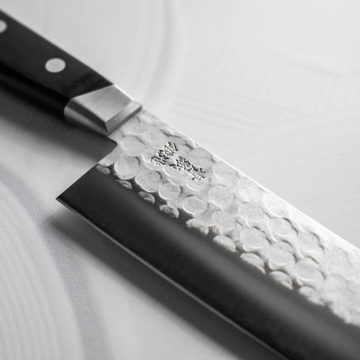 Tsunehisa Blue 2 - Western Handle Gyuto 200mm