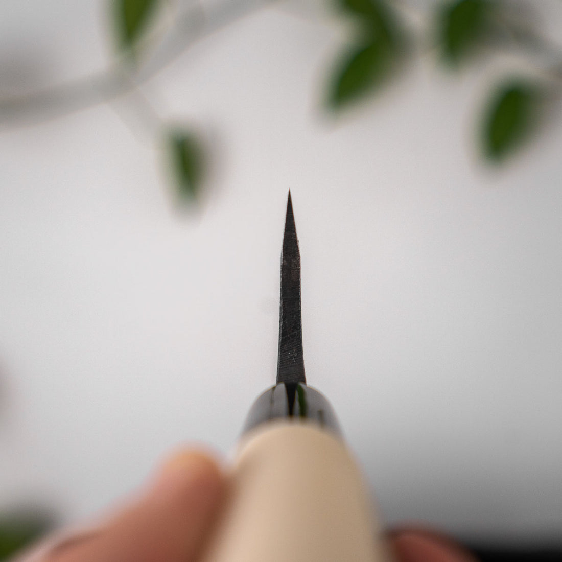 Fukamizu Double Bevel Deba 150mm Chefs Edge Handmade Japanese